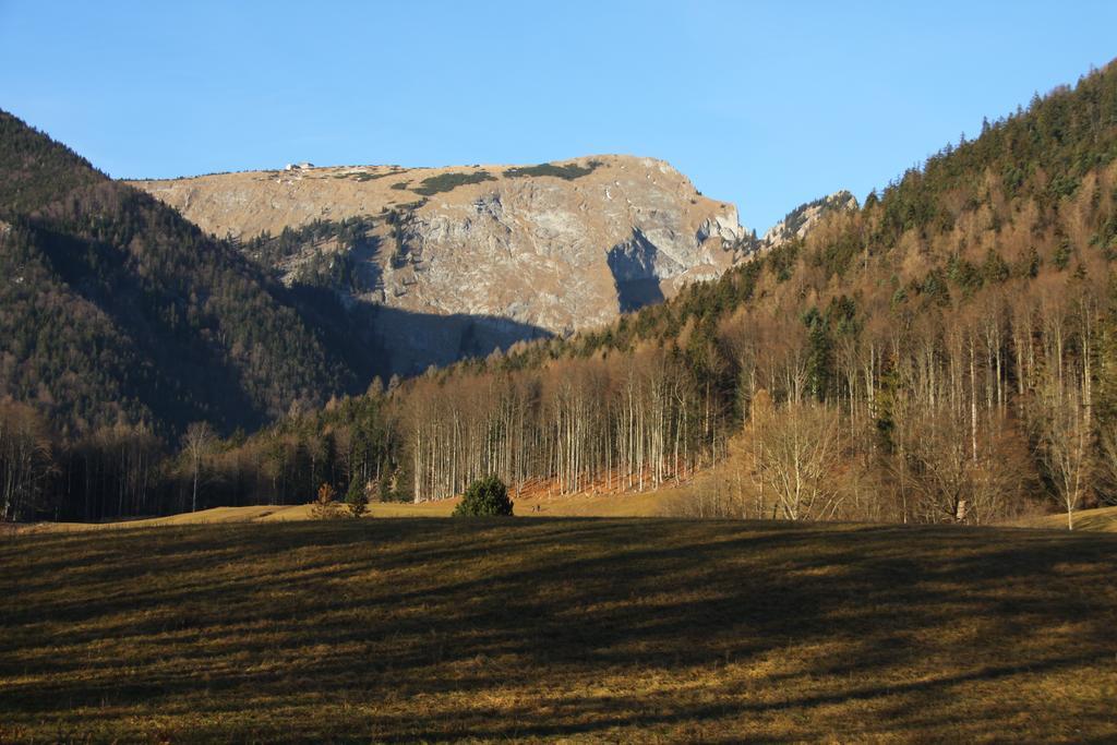Haus Seeschwalbe 3*